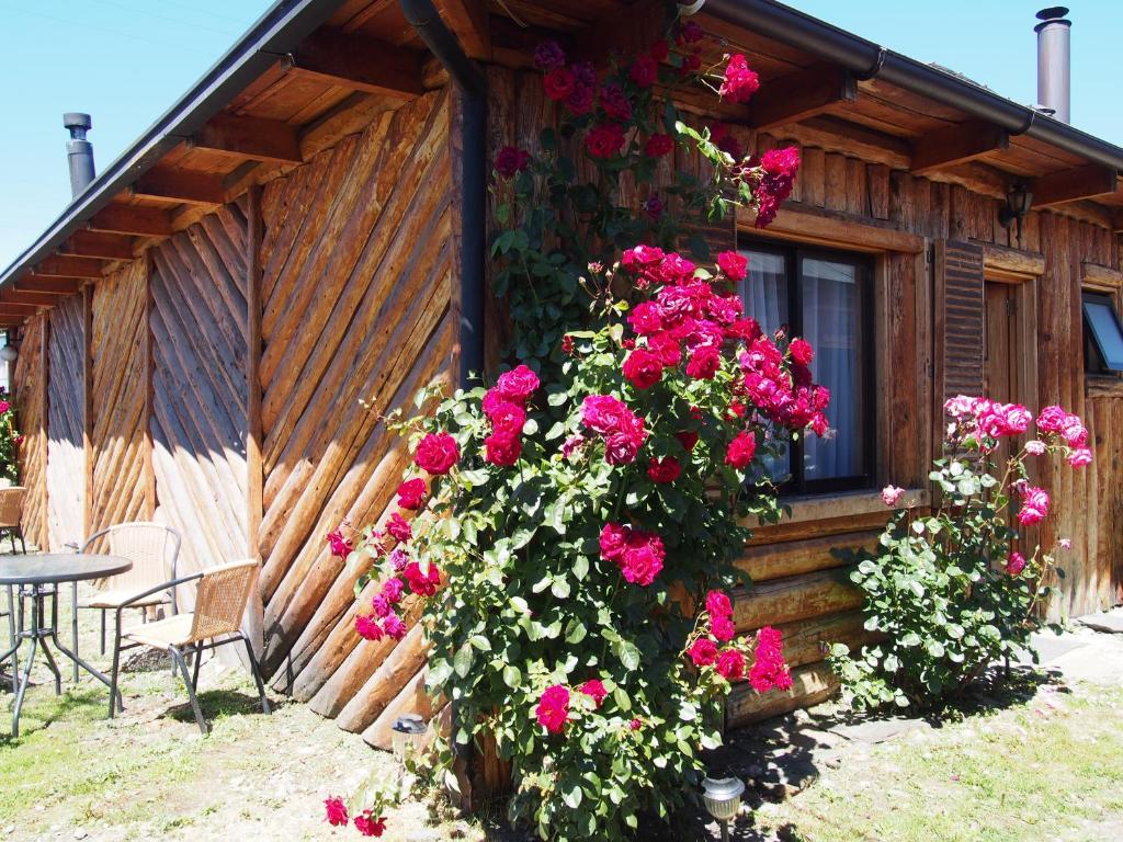 Ein Garten an der Unterkunft Hotel Último Paraíso
