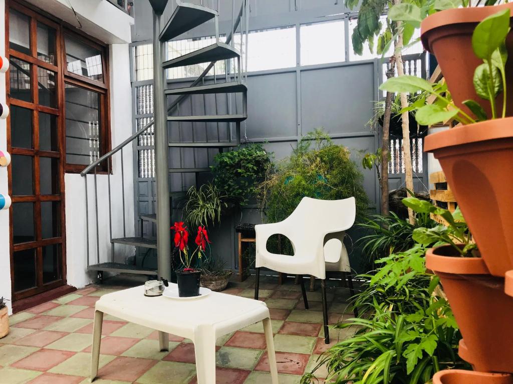 Zahrada ubytování Hostal Posada del Maple