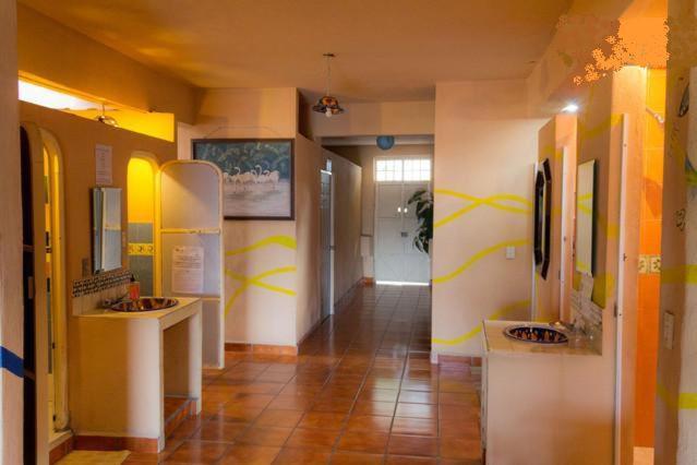 Fotografie z fotogalerie ubytování Oasis Hostel v destinaci Puerto Vallarta