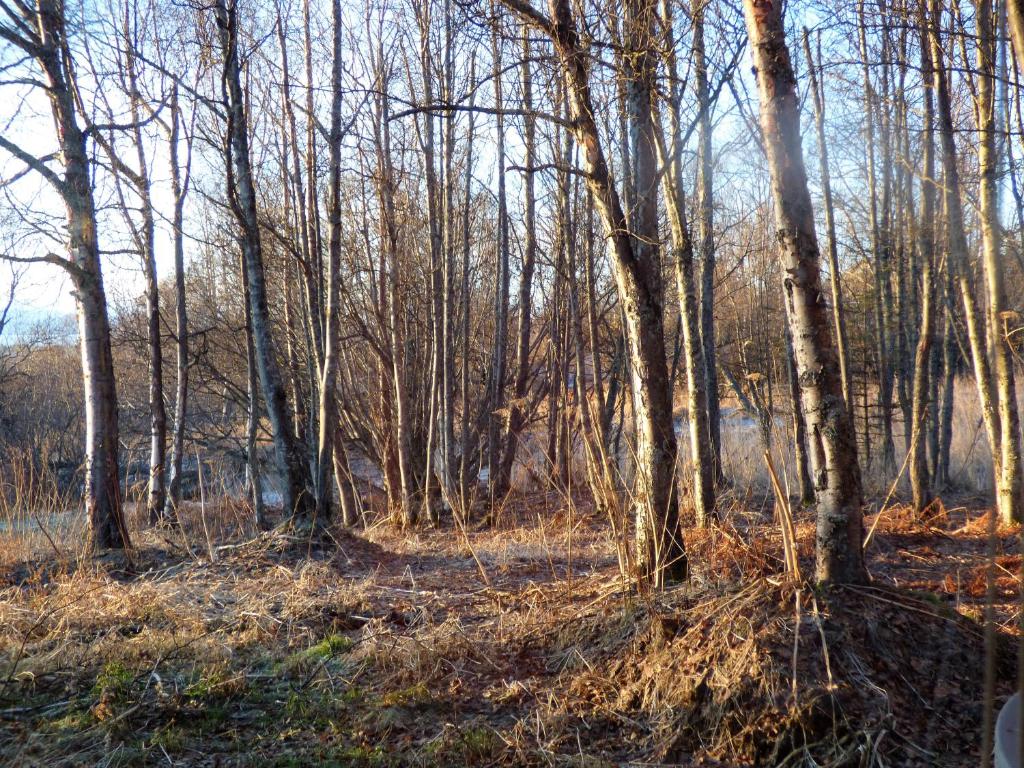 Příroda nedaleko bed and breakfast