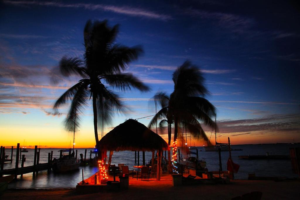 een strand met een prieel en palmbomen bij zonsondergang bij Key Largo Cottages in Key Largo
