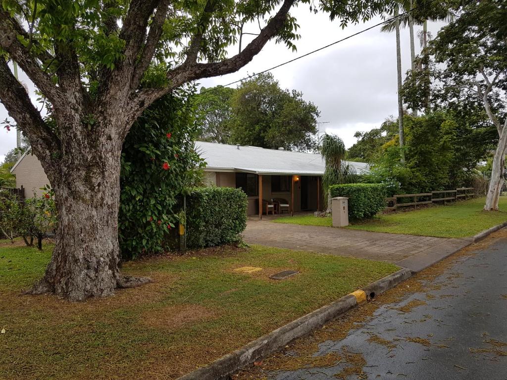 a house with a tree on the side of a street at Beerwah House in Beerwah