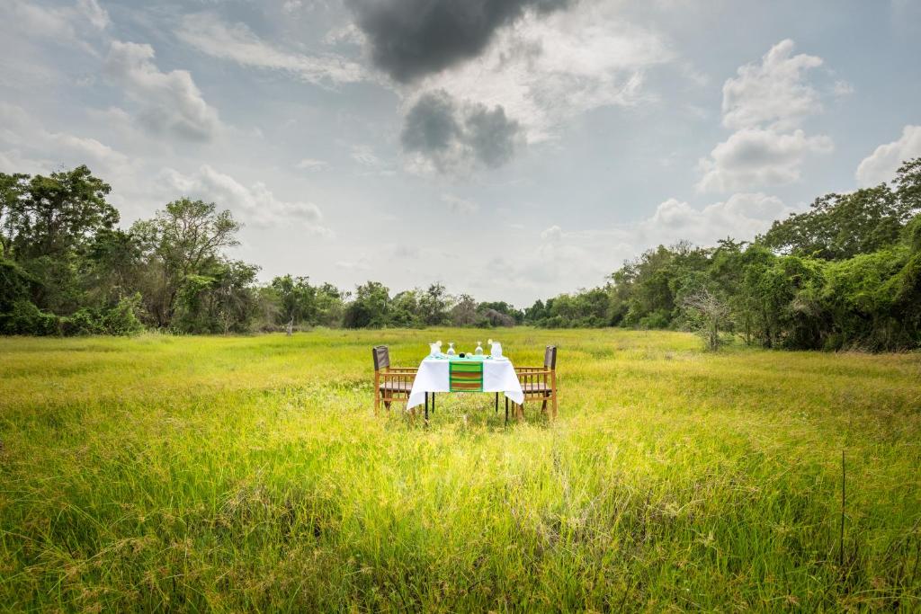 a table in the middle of a field at Mahoora Wilpattu - by Eco Team in Wilpattu