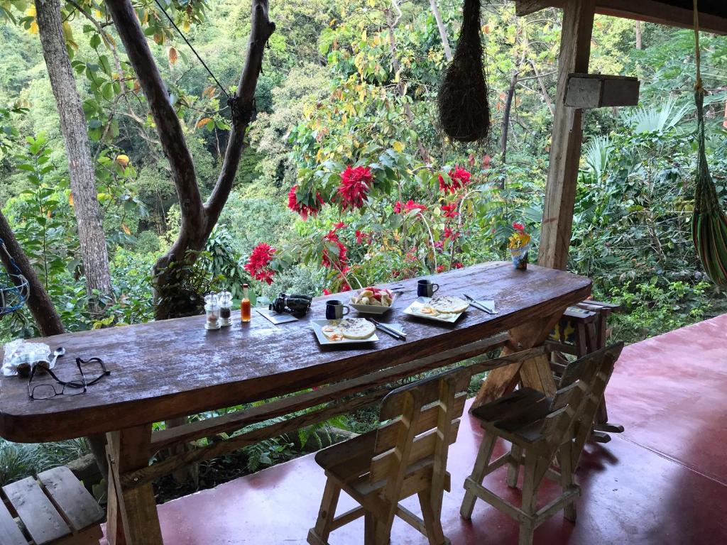 Zahrada ubytování Finca San Rafael - Cafe y Cacao