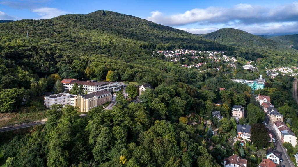 Příroda nedaleko hotelu