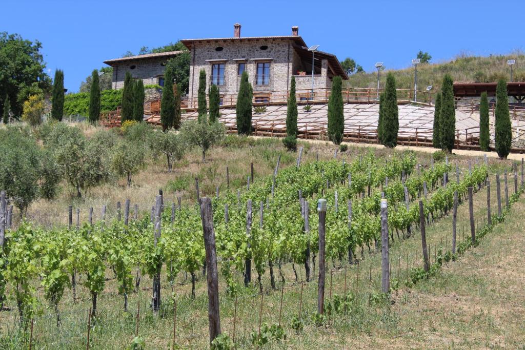 Ogliastro Cilento