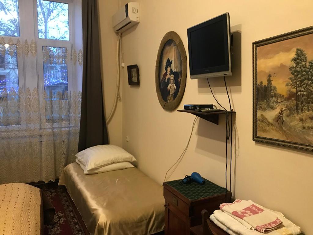 TV a/nebo společenská místnost v ubytování Gutsa Artists Mini-Hotel