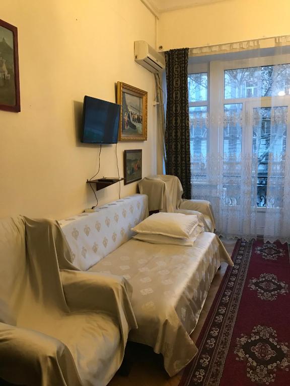 TV a/nebo společenská místnost v ubytování Gutsa Artists Mini-Hotel
