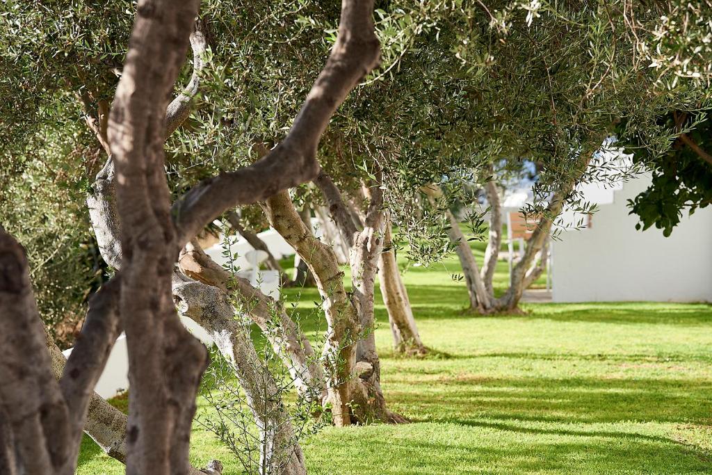 Santa Maria Village Resort & Spa - 19