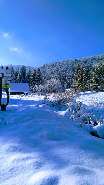 FATRAPARK 1 U SOVIČKY štúdio, kuchynka, kúpeľňa,s balkónom grátis parkovanie v podzemnej garáži - Apartamento Con Mountain View