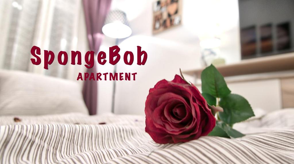 ウィーンにあるSpongeBob Apartmentの赤いバラ