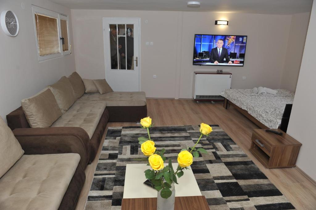 TV a/nebo společenská místnost v ubytování Golden House Apartments