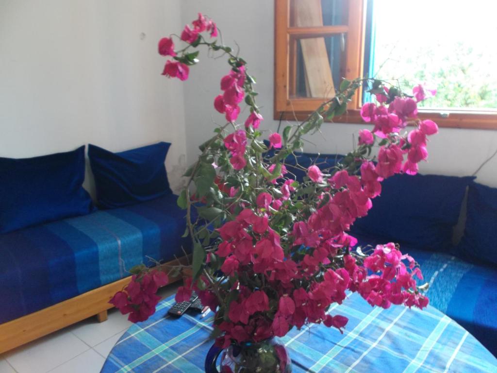 Posezení v ubytování Le jardin d'habiba