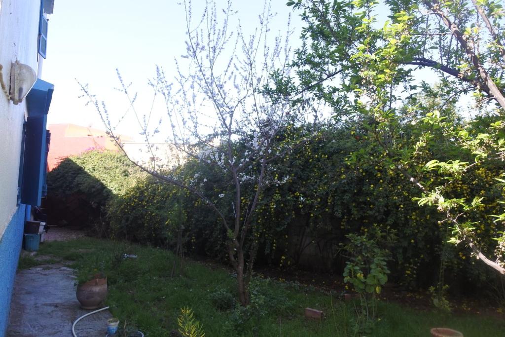 Zahrada ubytování Le jardin d'habiba
