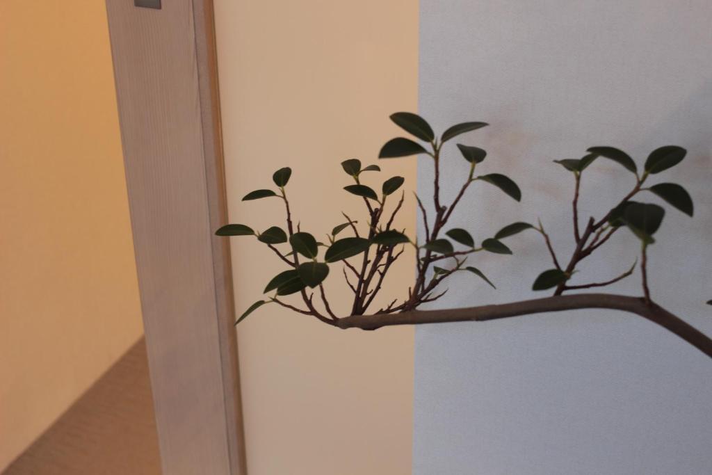 a branch with leaves on a wall at Guesthouse COCO Hiroshima (Female Only) in Hiroshima