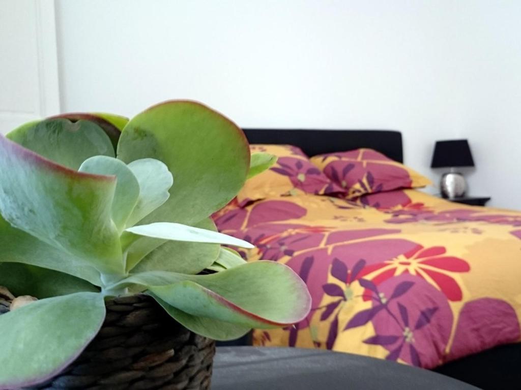 Le Clos Chez Michel - 19