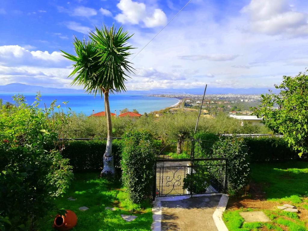 a palm tree in a garden with a view of the ocean at Vasiliki Guest House in Kalamata