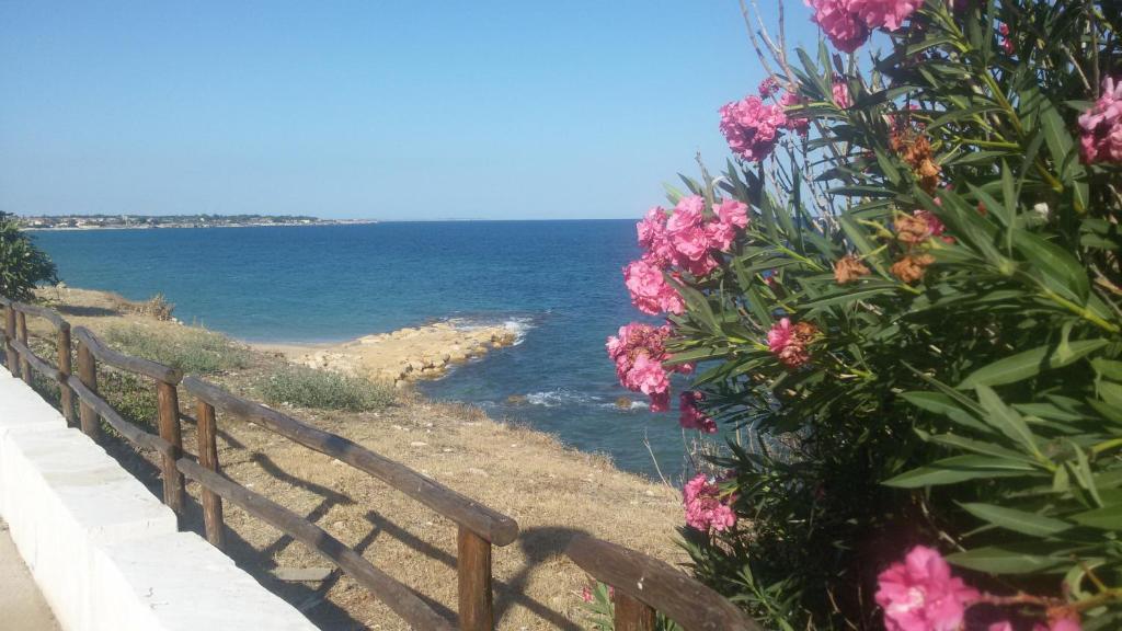 a wooden fence next to the ocean with pink flowers at Avola Holidays in Avola