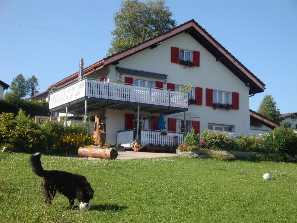 un perro parado en el césped frente a una casa en appartement "bellevue" en Les Breuleux