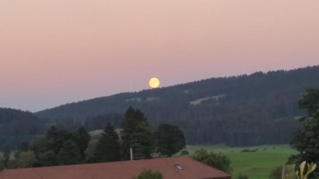 Příroda nedaleko apartmánu
