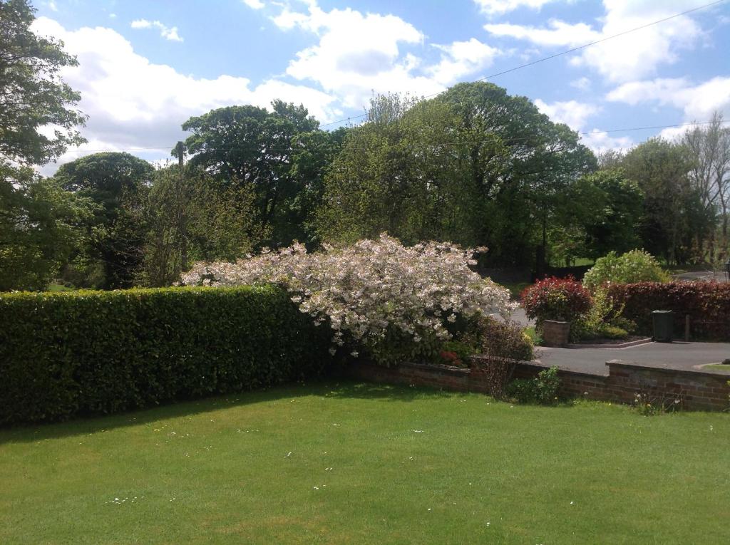 un seto con flores rosas en un patio en Woodview Lodge, en Chesterfield