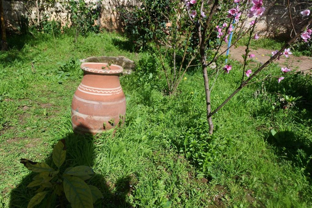 Zahrada ubytování Le jardin d'habiba