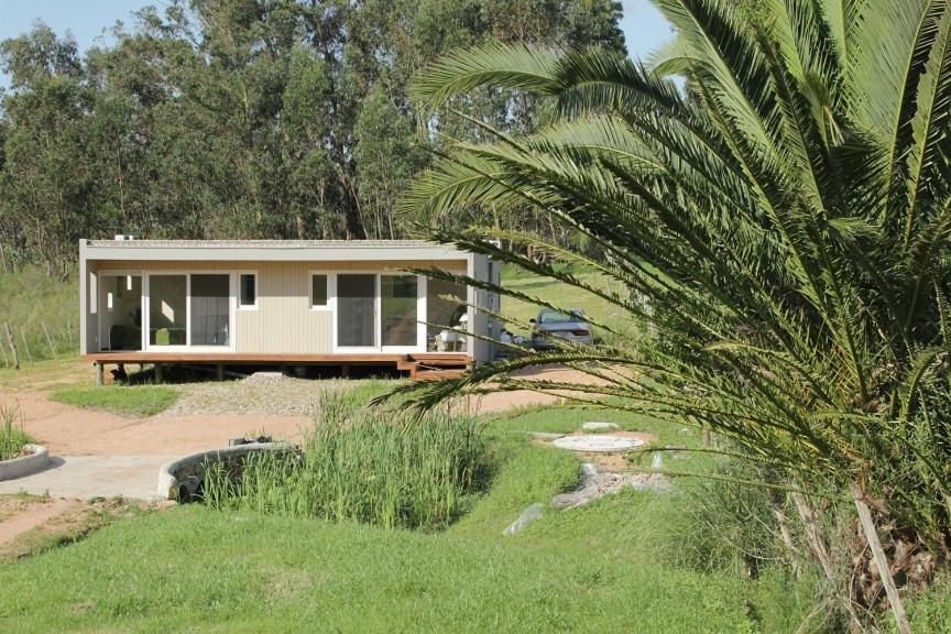 a house with a palm tree in front of it at Rincon del Diario in Punta del Este