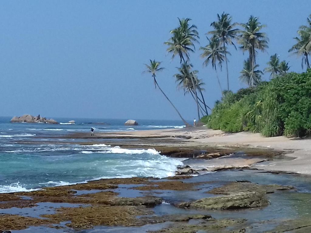 a beach with palm trees and the ocean at Galle Paradise Inn in Galle