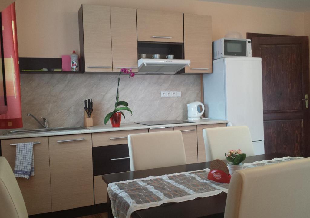 Kuchyň nebo kuchyňský kout v ubytování Apartmány Lucie