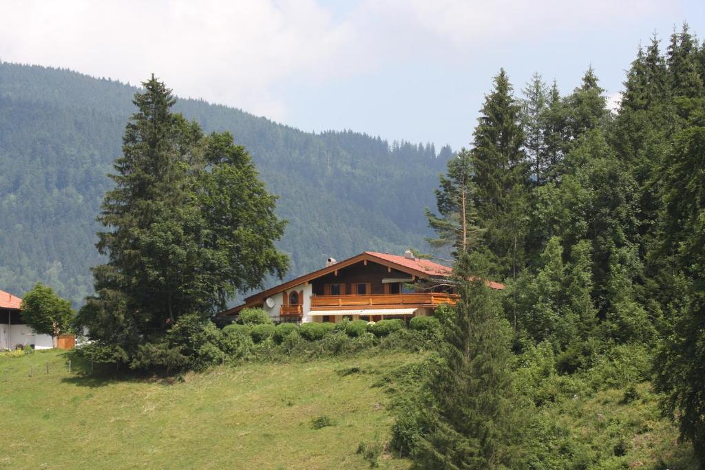 Příroda nedaleko apartmánu