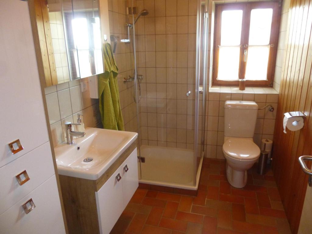 a bathroom with a toilet and a shower and a sink at Ferienhaus Gründl in Leibnitz