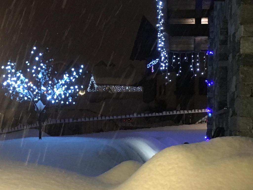 Appartamento Fleur Des Neiges v zime