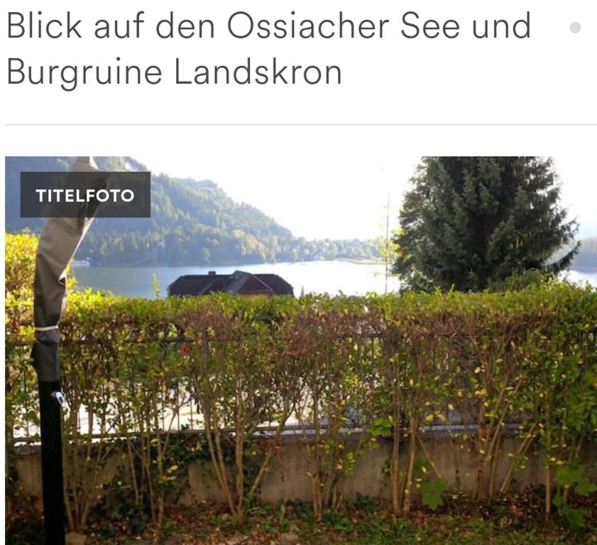 a post with a picture of a garden with a black ant eaten oscilloscope see at Fewo Hilde in Annenheim