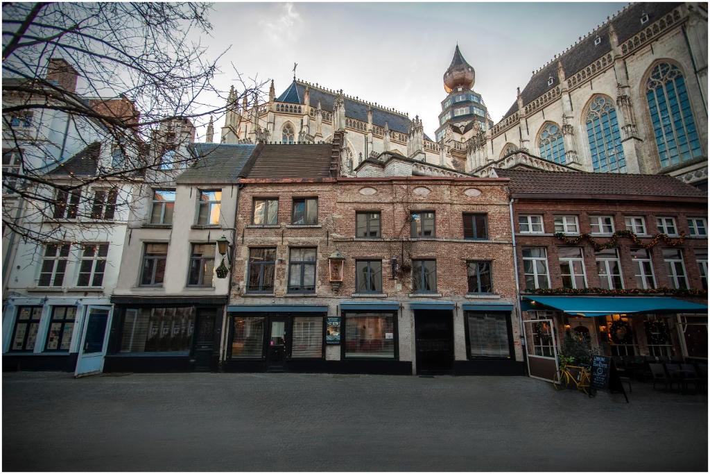 a group of buildings on a city street at Kathedraallogies Drie Koningen in Antwerp
