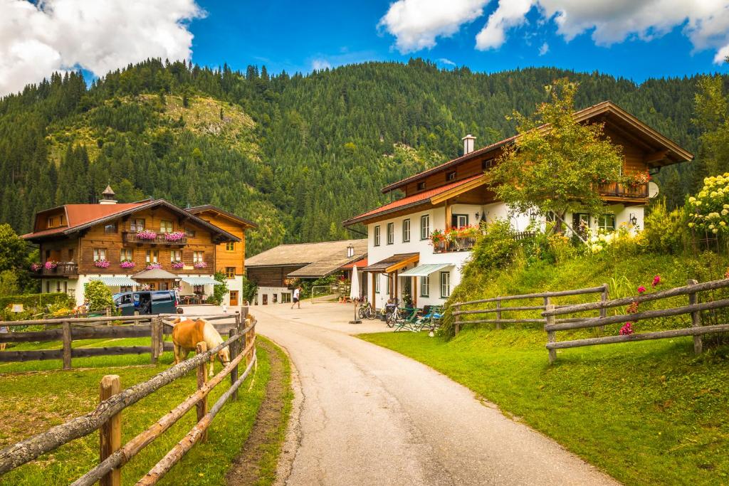 a village in the mountains with a horse on a dirt road at Biobauernhof Windbachgut in Eben im Pongau