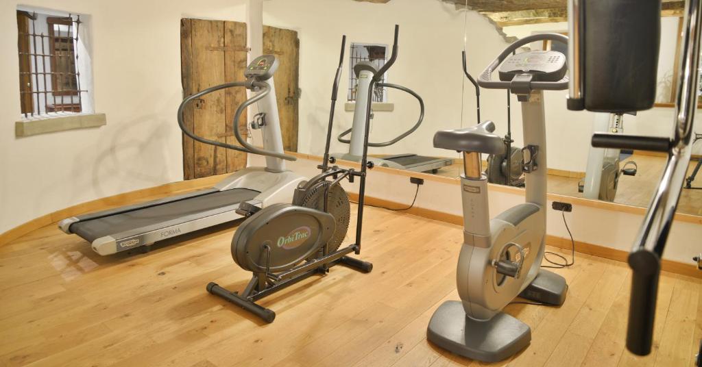 Fitness centrum a/nebo fitness zařízení v ubytování La Brace