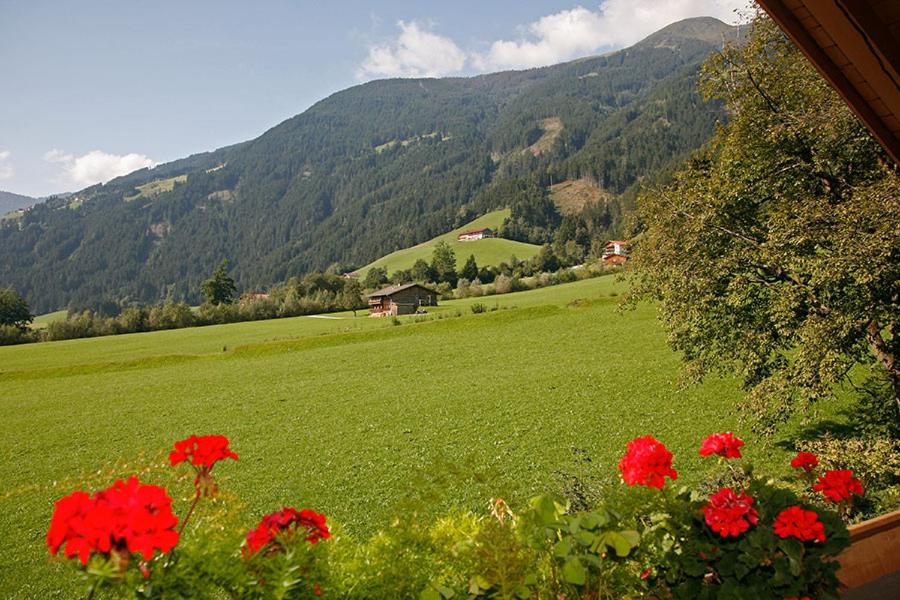 ZellbergにあるApart Alpensonne Zillertalの緑地