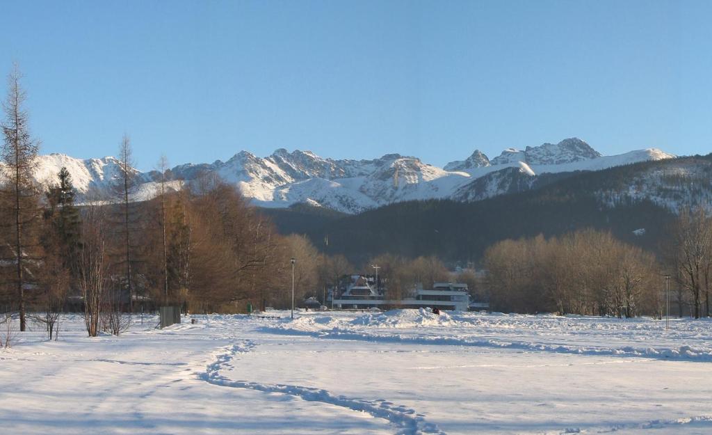 Pokoje Gościnne Trebunia - 1