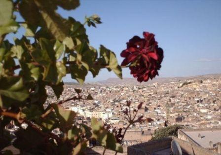 Fotografie z fotogalerie ubytování Dar Al Safadi v destinaci Fès