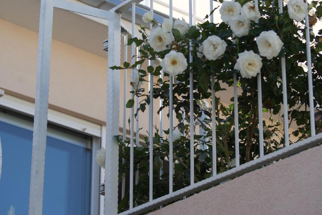 Balkón alebo terasa v ubytovaní Apartments Nena - Trogir