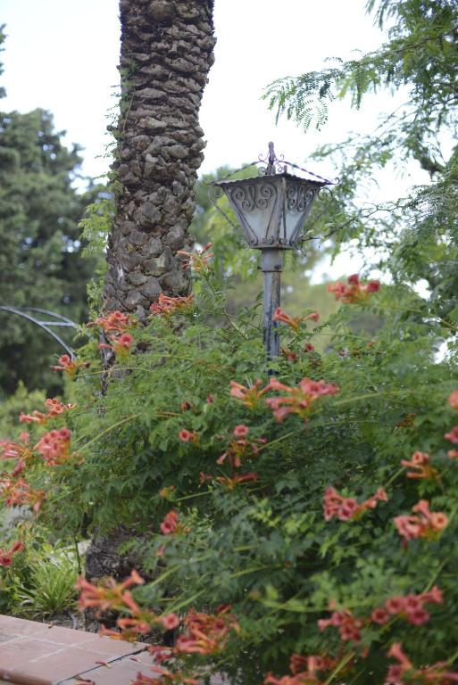 Vonkajšia záhrada v ubytovaní Villa Titì