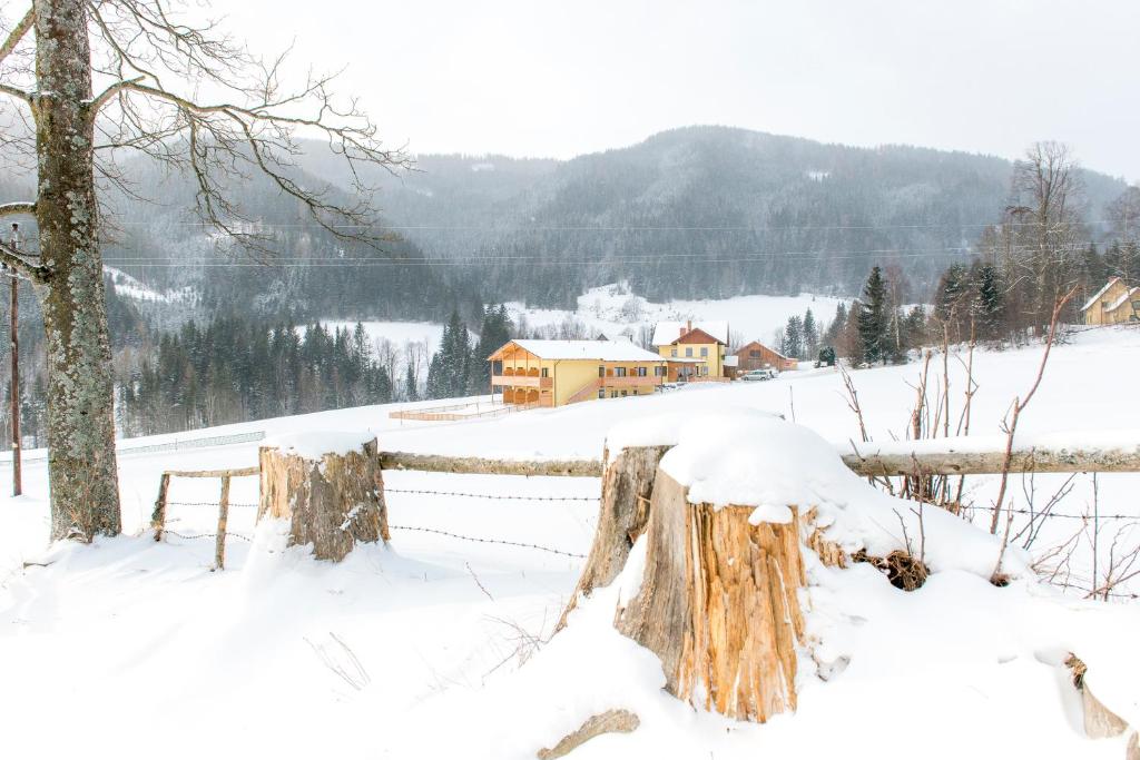 Gasthof Wachter v zime