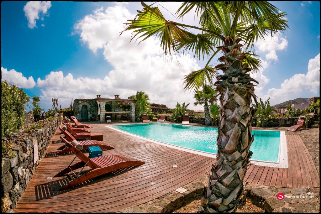 basen z krzesłami i palmą w obiekcie La Kuddia w mieście Pantelleria