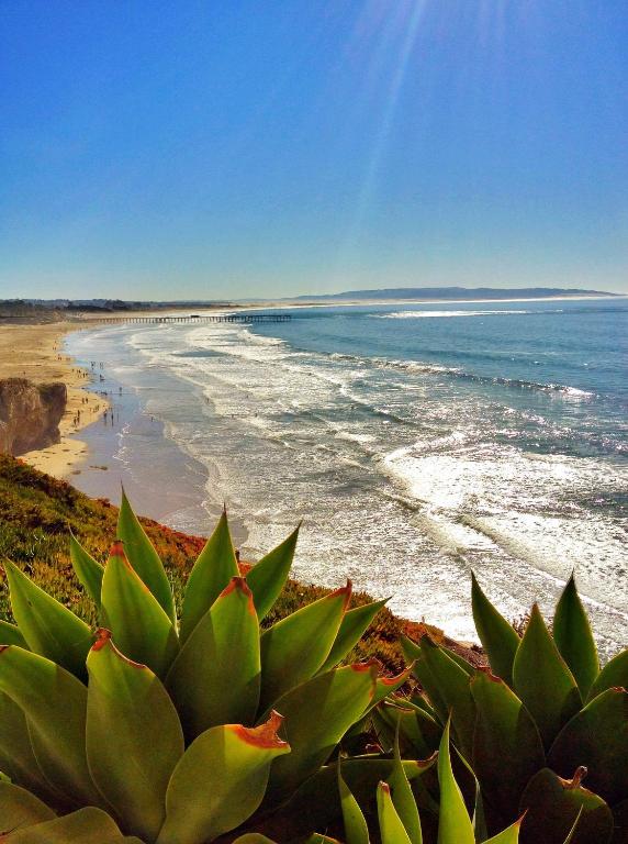 Blick auf einen Strand mit grüner Pflanze in der Unterkunft Pismo Lighthouse Suites in Pismo Beach