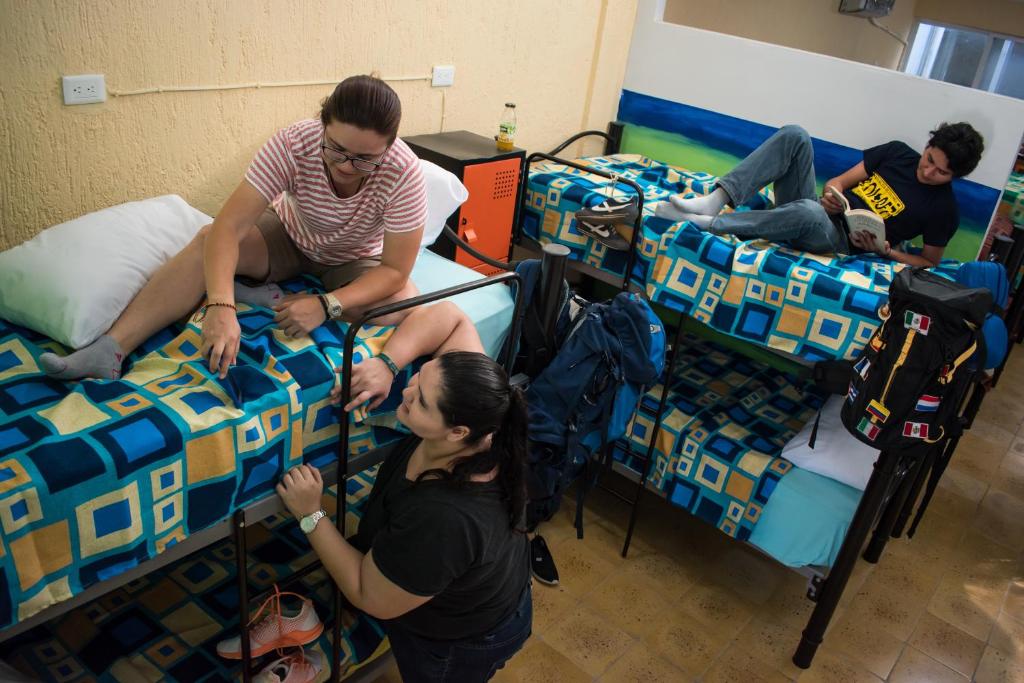 Hostel Áabilo'ob - Cama En Dormitorios Mixtos De 4 Camas