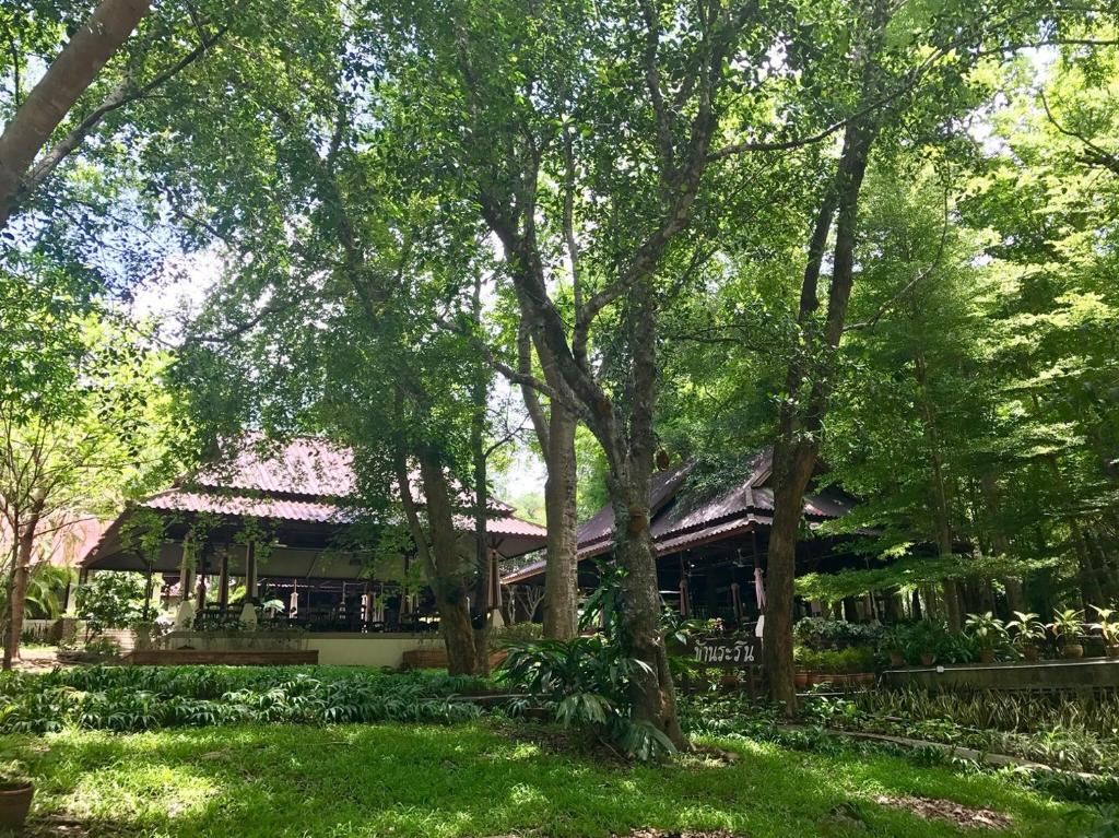 Zahrada ubytování Wanathara Resort