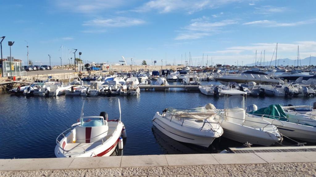 a bunch of boats are docked in a marina at Le Tre Caravelle in Trabia