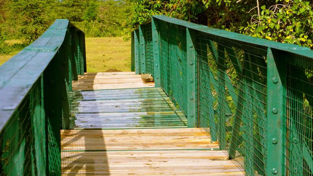 Fotografie z fotogalerie ubytování PrideInn Mara Camp & Cottages v destinaci Talek