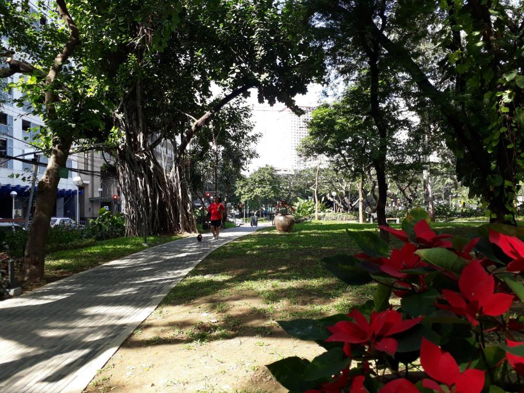 Zahrada ubytování KL Executive Greenbelt (KLX)