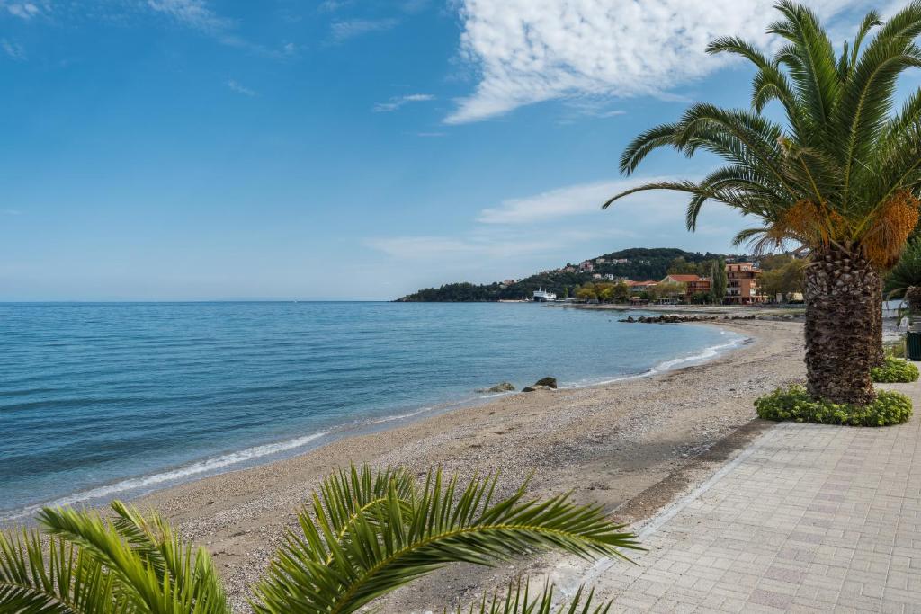 ポロスにあるAreti Apartmentsのヤシの木と海のビーチ